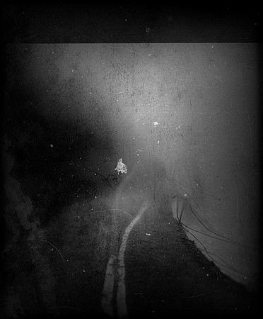 road-160224_53533856255_o