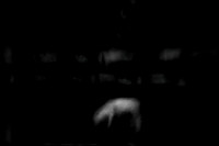 2011-09-02-52-5