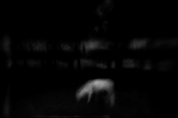 2011-09-02-52-5