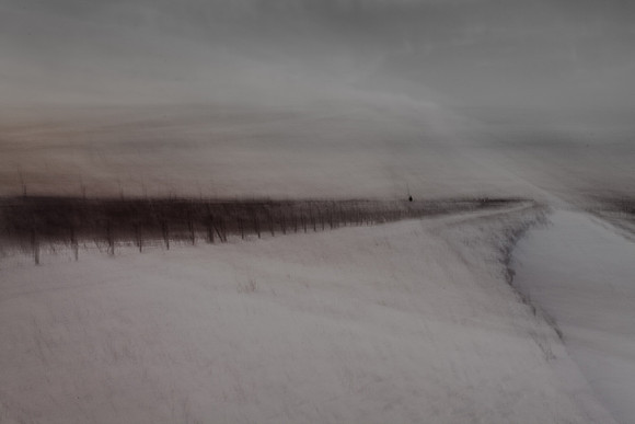 winter 17 - man in a field of snow