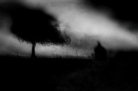 chrisfriel-22-3