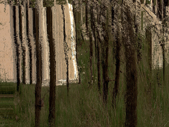 field-23_48754397223_o