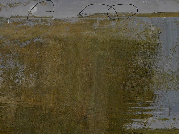field-1725_48497211816_o