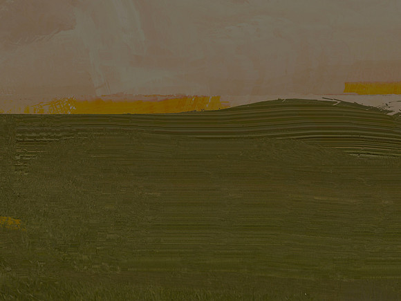 field-8627_48598235901_o