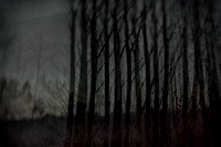 291114 #261-3