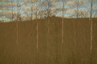 090114-305