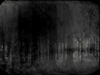 03 tx-12-2