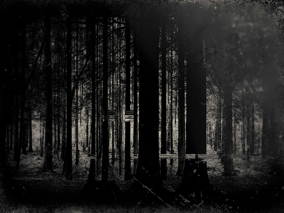 03 tx-19