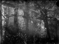 06-10-Edit-2-Edit-2-Edit-2-Edit-2