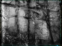 06-10-Edit-2-Edit-2-Edit-2
