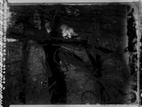 06-10-Edit-2-Edit-2-Edit-4-Edit-2