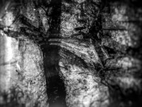 06-10-Edit-2-Edit-2-Edit-4-Edit-3-Edit-Edit-3-Edit