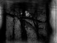 06-10-Edit-2-Edit-2-Edit-4-Edit