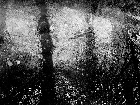 06-10-Edit-2-Edit-2-Edit-Edit-Edit-2
