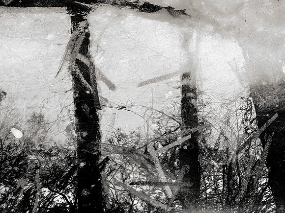 06-10-Edit-2-Edit-2-Edit-Edit-Edit-7