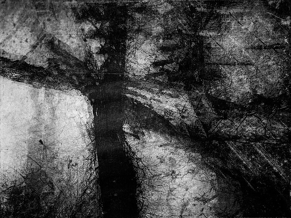 06-10-Edit-2-Edit-4-Edit-4-Edit-2-Edit