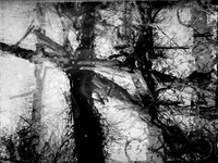 06-10-Edit-2-Edit-2-Edit-4-Edit-3