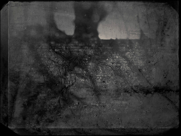 11-88
