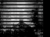36-96