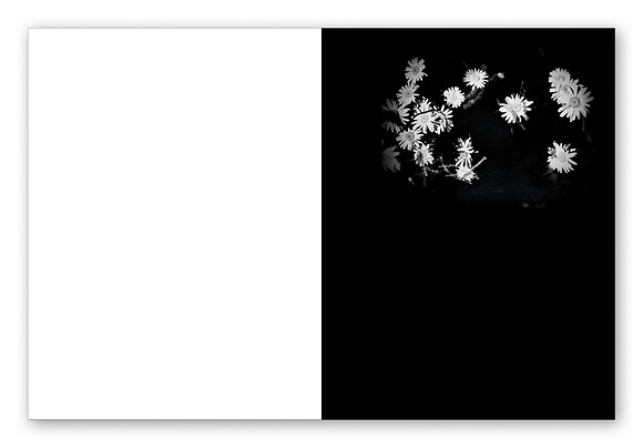 JWE-JW-RL-V210x280-PR-Spreads9_1080px