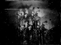 01-391