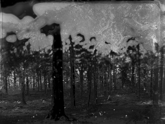01-245