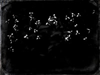 09-15