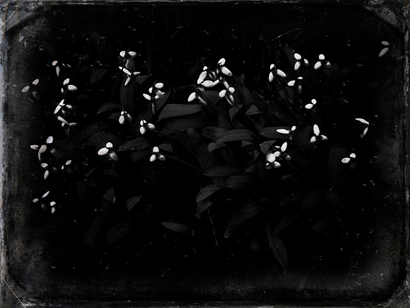 09-15