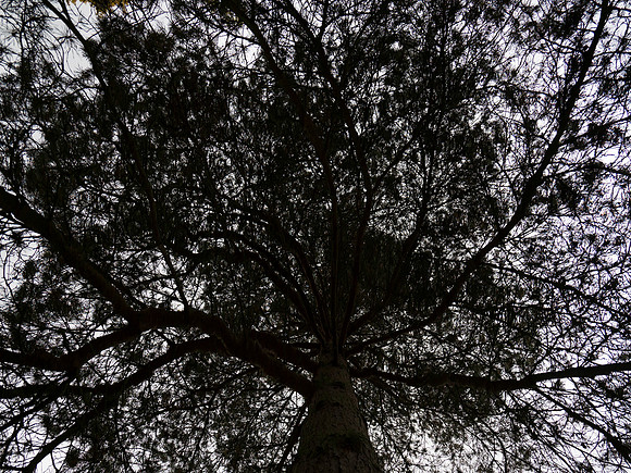 051216-2-2