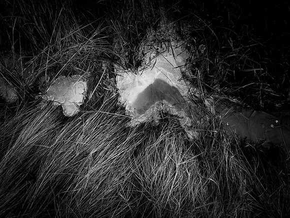 ALICE-25