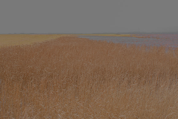 070315#212