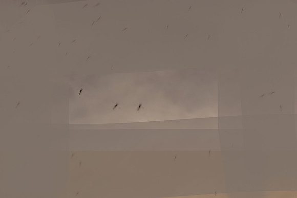 100315#103-5