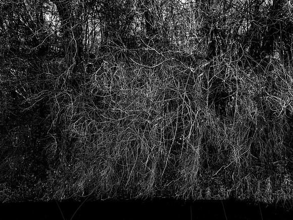 RIVER BW-14