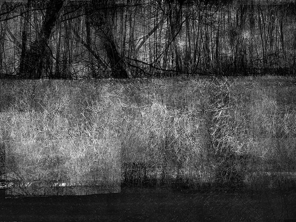 RIVER BW-42