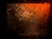 SHADOW-10