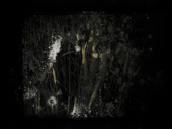 SHADOW-18