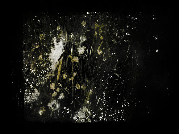 SHADOW-19