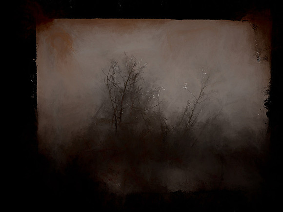 SHADOW-31
