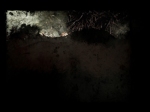 SHADOW-48