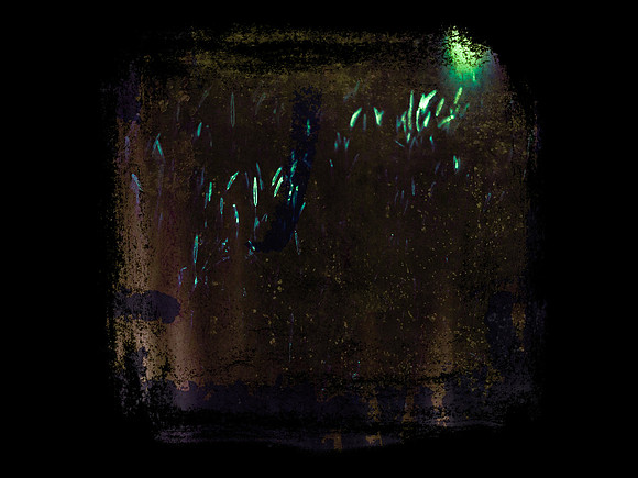 SHADOW-72