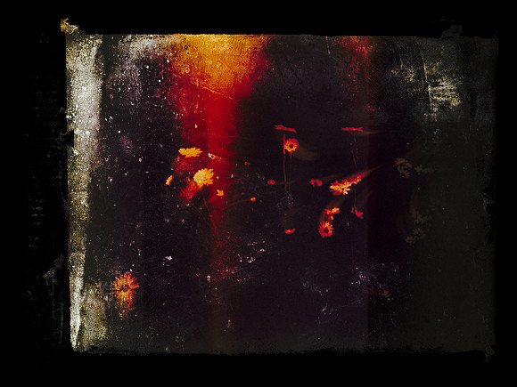 SHADOW-64