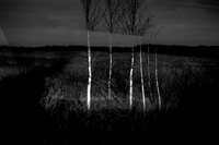 heroin-11