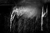 heroin-49