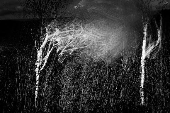 heroin-49