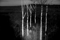 heroin-26