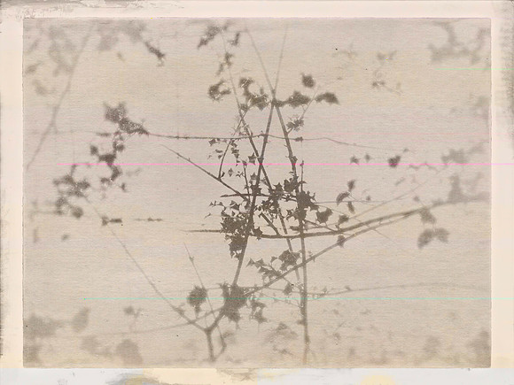 2-24