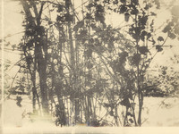 06-30