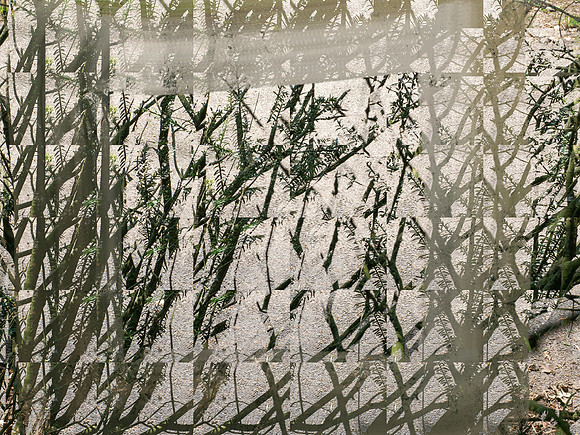 2-81