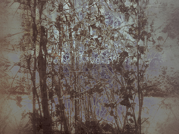 06-50