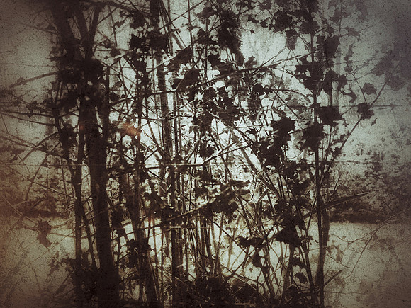06-54
